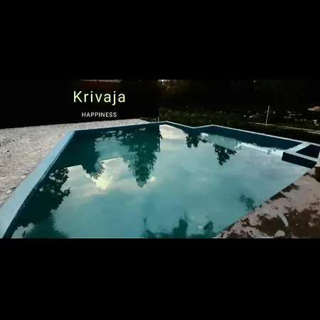 Ruj