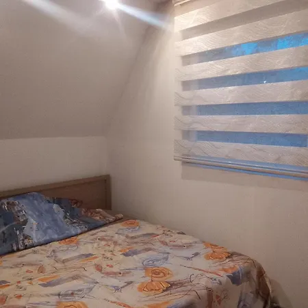 Ruj * Donja Gosovica